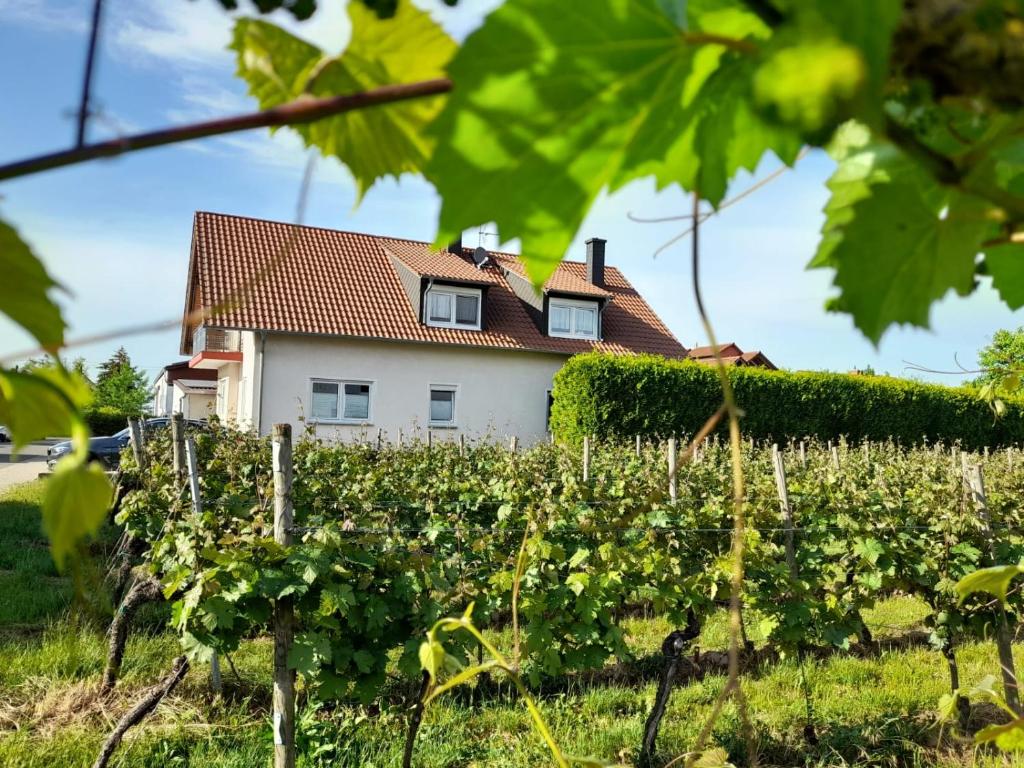 Appartement Ferienwohnung am Schoosberg, Niederkirchen bei Deidesheim Am Schoosberg 16, 67150 Niederkirchen bei Deidesheim