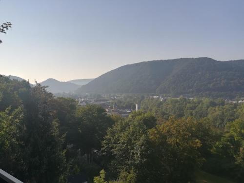 Ferienwohnung am Weinberg Bad Ems allemagne