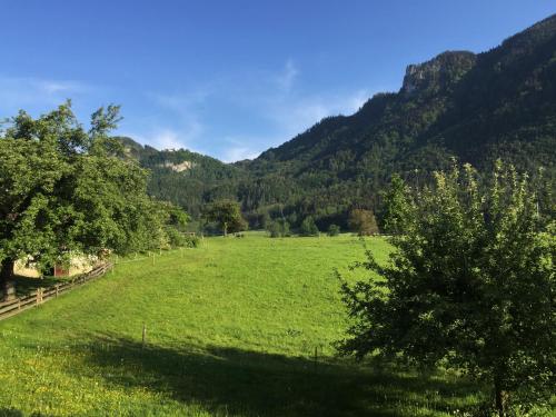 Appartement Ferienwohnung an der Wolfsgrube Wolfsgrubenweg 15 Unterflintsbach