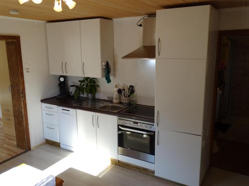 Appartement Ferienwohnung Anna Adlgasser Straße 43 Inzell