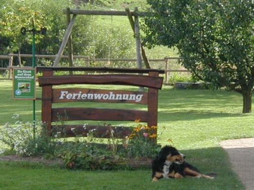 Appartement Ferienwohnung Armbruster Hagzinkenweg 2 Sankt Georgen im Schwarzwald