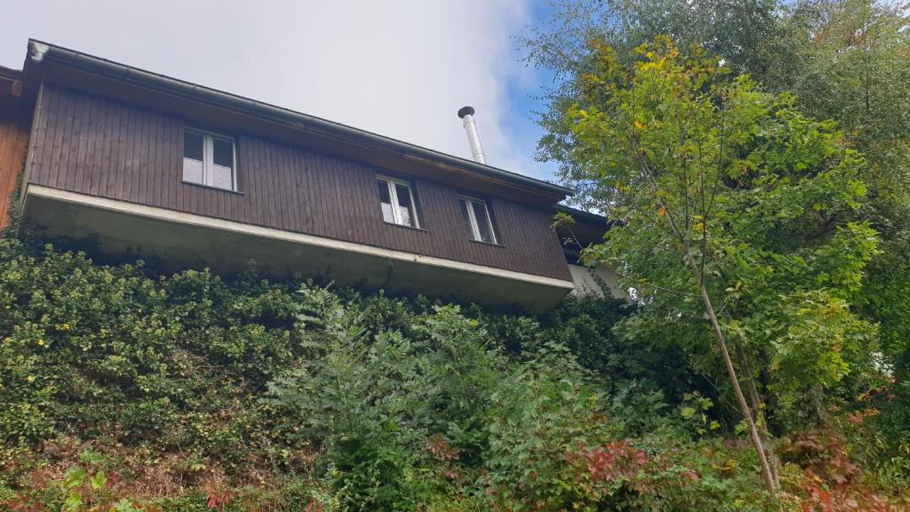 Appartement Ferienwohnung auf dem Bückle Wambach 4, 79692 Kleines Wiesental