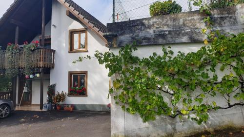 Ferienwohnung auf dem Bückle Kleines Wiesental allemagne
