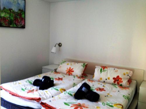 Appartement Ferienwohnung Baabe 11 Am Kurpark 1. Etage Baabe