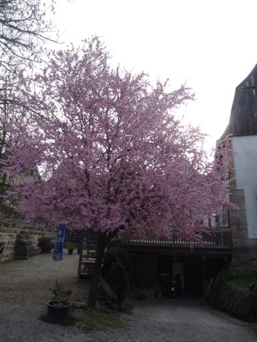 Ferienwohnung Bachmann \ Lauf an der Pegnitz allemagne