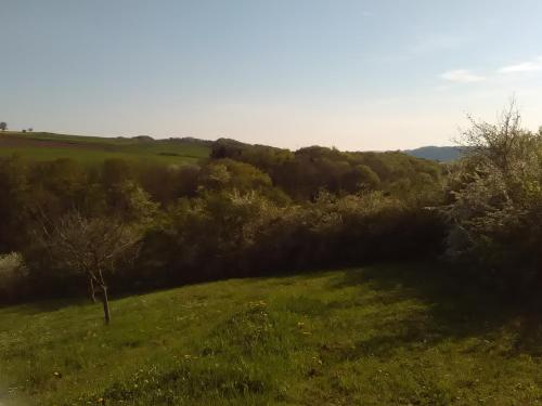 Ferienwohnung Barzen Ralingen allemagne
