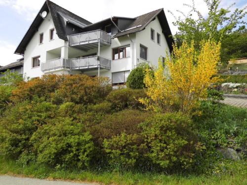 Ferienwohnung Bäumner Bad Berleburg allemagne