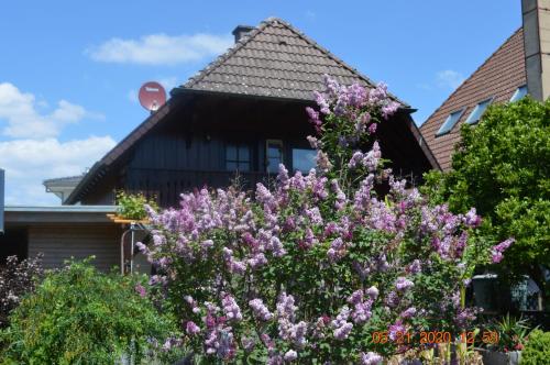 Ferienwohnung Beim Holzmann Gutach allemagne