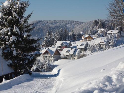 Ferienwohnung Bergahorn Todtnauberg allemagne