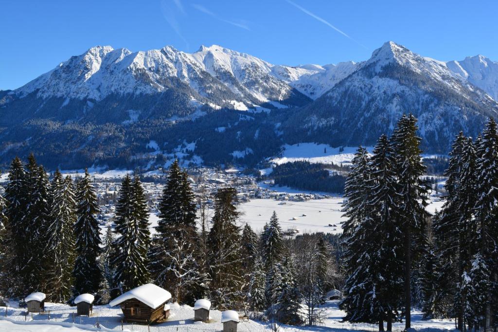 Appartement Ferienwohnung Bergkristall 1 Höllwiesenweg, 87561 Oberstdorf