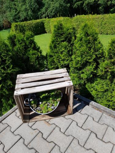 Ferienwohnung Betula Fürstenstein allemagne