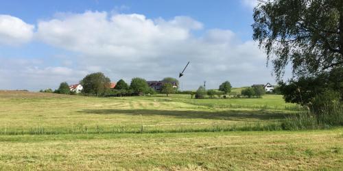 Ferienwohnung Bienenhäusle in Grünkraut / Ravensburg Grünkraut allemagne