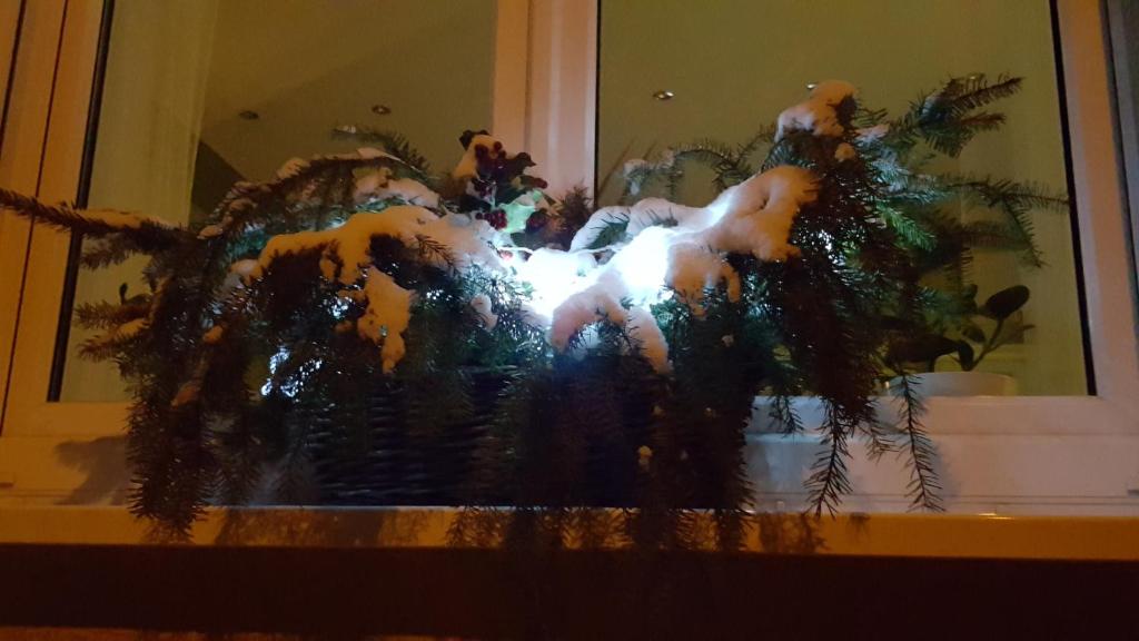 Appartement Ferienwohnung Bleicherode Nordhäuser Str. 27, 99752 Bleicherode