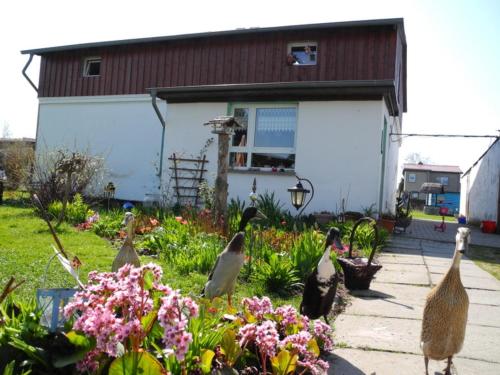 Ferienwohnung BoddenBlick Polchow allemagne