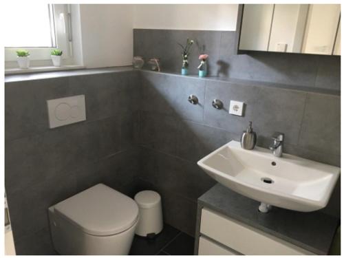 Appartement Ferienwohnung Bodensee Nenzingen Hegau Herpeleweg 4b Orsingen-Nenzingen