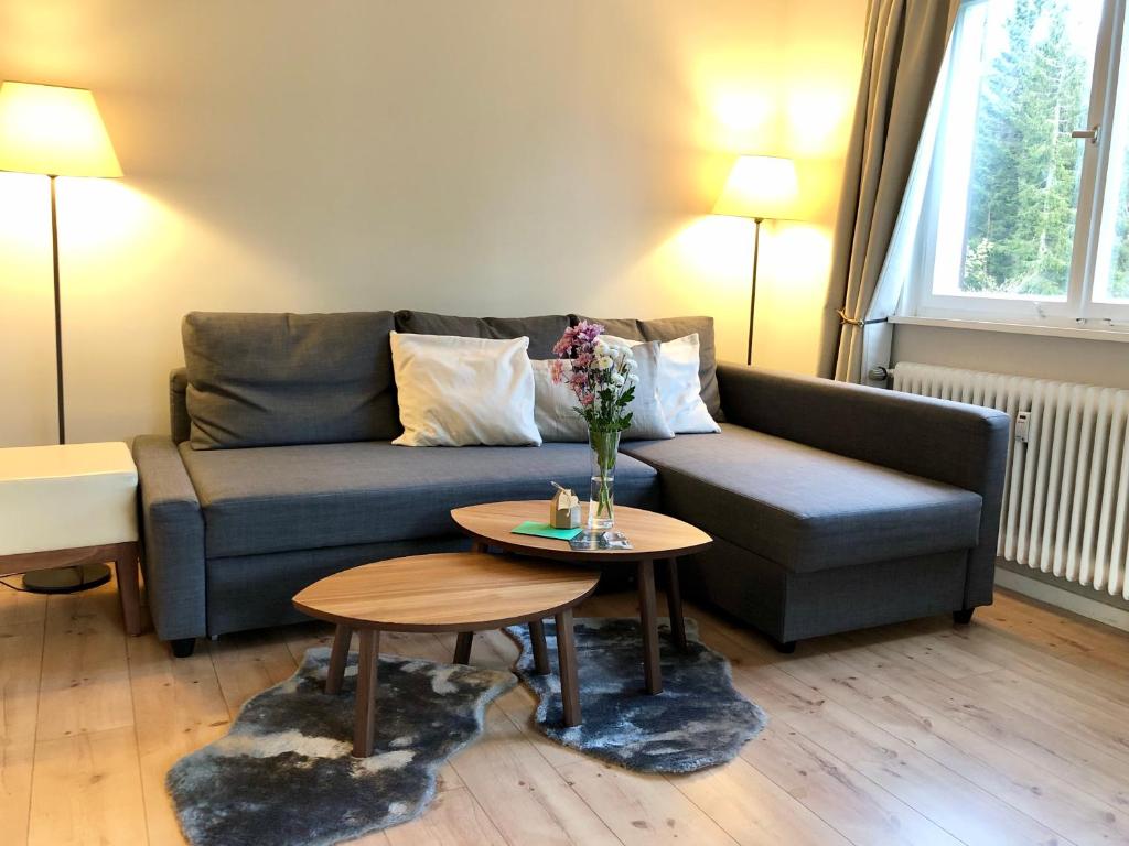 Appartement Ferienwohnung Börner Eichelbachstraße 63, 72250 Kniebis