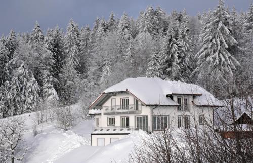 Ferienwohnung Boxleitner Neuschönau allemagne