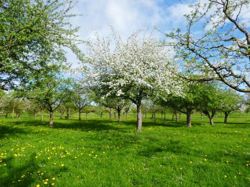 Appartement Ferienwohnung Buchner Kiem-Pauli-Weg 11 Bad Feilnbach