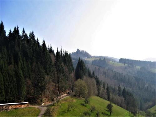 Ferienwohnung Burgblick Seelbach allemagne