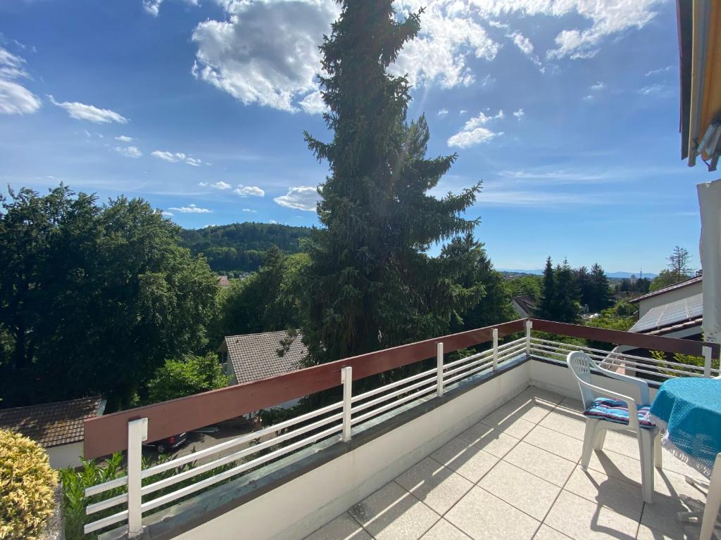 Appartement Ferienwohnung Carmen im schönen Lahr 41 Bürklinstraße, 77933 Burgheim