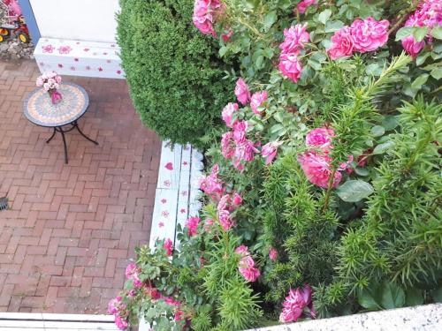 Appartement Ferienwohnung Caroline Antel 121 EG Andernach