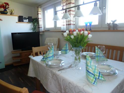 Ferienwohnung Dachs Zachenberg allemagne