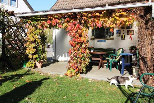 Appartement Ferienwohnung Dieckmann Rudolf-Breitscheid-Str. 13 Kühlungsborn