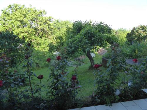 Appartement Ferienwohnung Dora 1 Am Donnersberg 13 Michelstadt