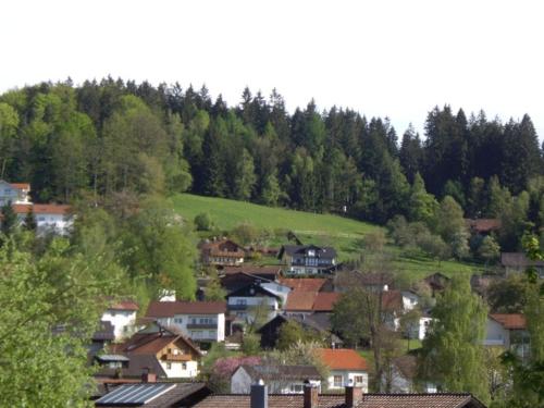 Ferienwohnung Dorfblick (Herzog) Lindberg allemagne