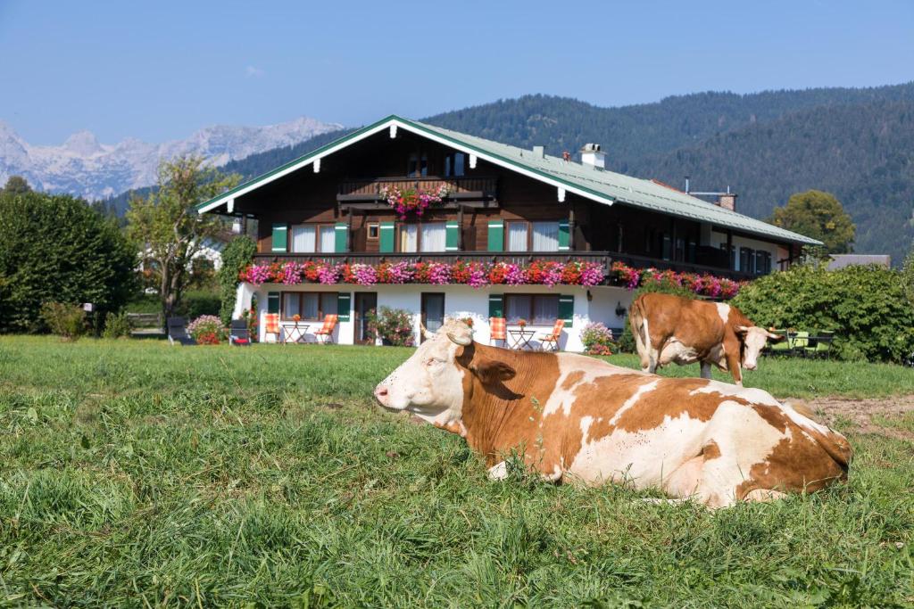 Appartements Ferienwohnung Drachllehen Storchenstr. 29, 83471 Schönau am Königssee