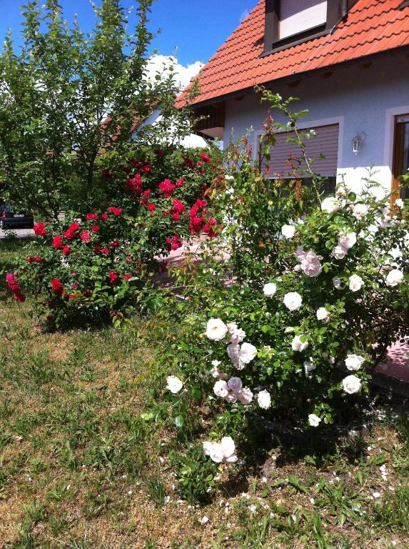 Appartement Ferienwohnung Eibenweg Eibenweg 2, 91607 Gebsattel
