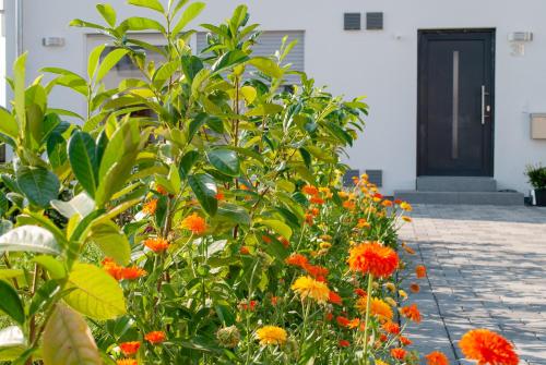 Ferienwohnung Elena Tettnang allemagne