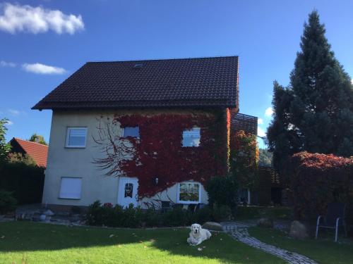 Ferienwohnung Elli Gernrode - Harz allemagne