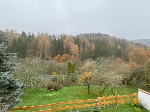 Appartements Ferienwohnung Ernzerhof mit Netflix und Smart-TV 60 Algenrodter Straße Idar-Oberstein