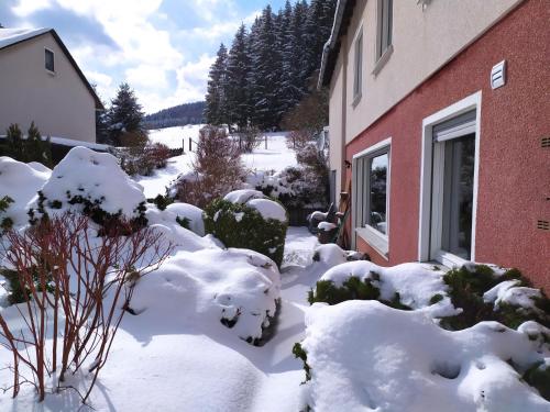 Appartement Ferienwohnung Eschenberg Lange Fohre 10 Winterberg