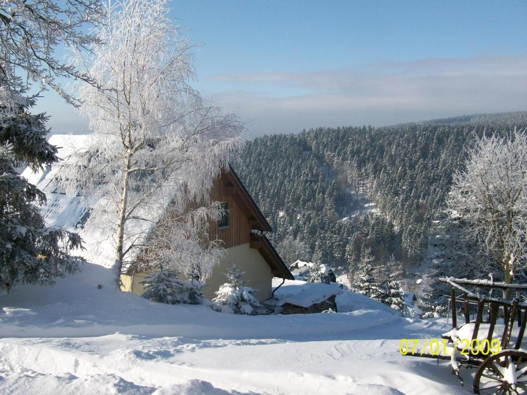 Appartement Ferienwohnung Familie Becher Klingenthal Aschberg Aschbergstr. 15 a, 08248 Klingenthal