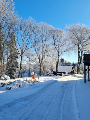 Appartement Ferienwohnung Fernblick 11 Ahornallee Kurort Bärenburg