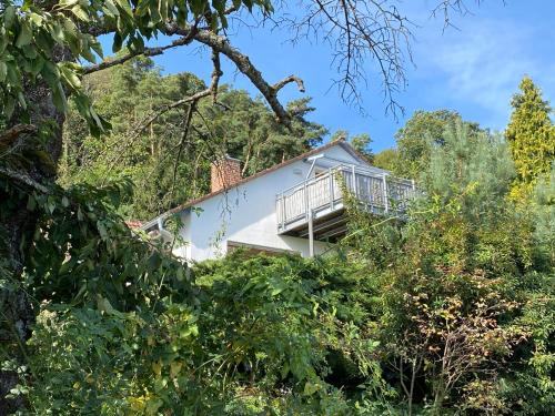 Appartement Ferienwohnung Fernblick Pfalz - mit Sauna 16 Vogelsang Weyher