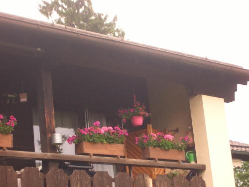 Appartement Ferienwohnung Franziska Hochblassenstrasse 13 Garmisch-Partenkirchen