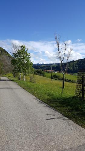 Appartement Ferienwohnung FRIADO im Ferienpark Oberallgäu 1 Weissenberg Missen-Wilhams