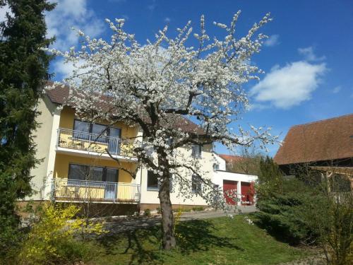 Ferienwohnung & Gästezimmer Rixner Hilpoltstein allemagne