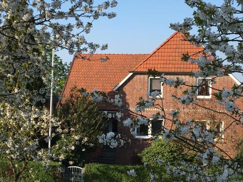 Appartement Ferienwohnung Gosch am Lühedeich Kurze Straße 8 Grünendeich