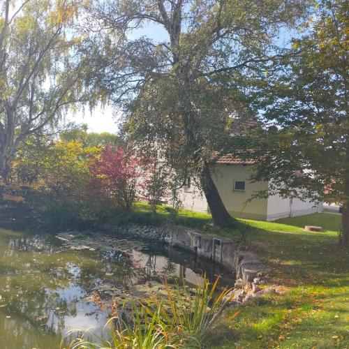 Appartement Ferienwohnung H2 am Hainich 2 Hauptstraße Oesterbehringen