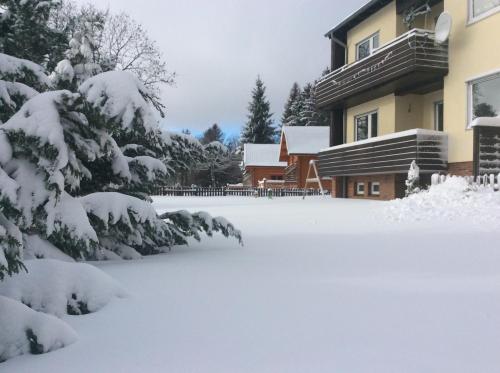 Appartement Ferienwohnung Harzblick Benneckensteiner Straße Braunlage