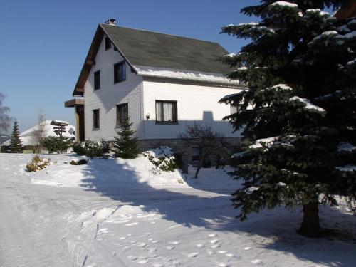Appartement Ferienwohnung Hauptmann Promenade 5a Frauenwald