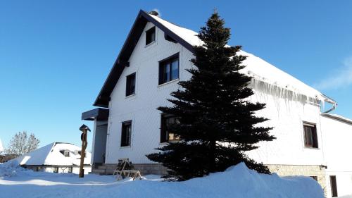 Ferienwohnung Hauptmann Frauenwald allemagne