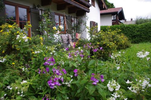 Appartements Ferienwohnung Haus Alpenrebe Hochwaldstr.12 Schönau am Königssee