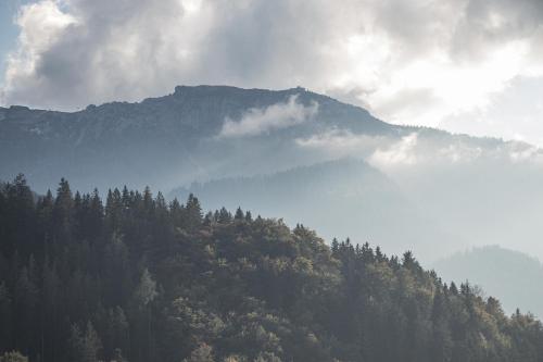 Appartement Ferienwohnung Haus Hirschbichl Lärcheckerweg 10 Berchtesgaden