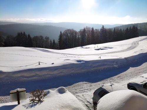 Appartement Ferienwohnung Haus Silberblick 2 Promenade Frauenwald am Rennsteig Frauenwald