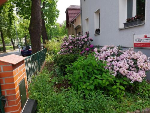 Ferienwohnung Heil - Königs Wusterhausen Königs Wusterhausen allemagne